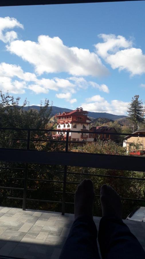 Guesthouse U Dida Viktora Яремче Екстериор снимка